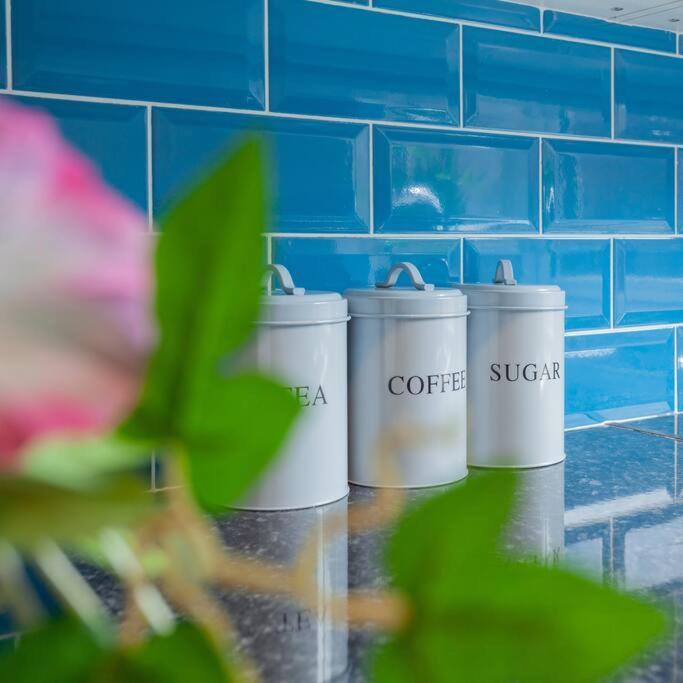 Beautiful Apartment In The Heart Of Belfast!! エクステリア 写真
